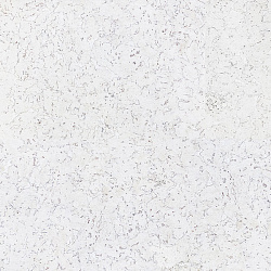 Monte Snow пробковые настенные покрытия WALL DESIGN