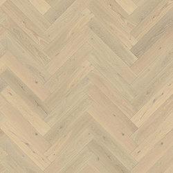 Oak CD white oil